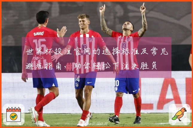 世界杯投注官网的选择标准及常见避坑指南，助你轻松下注决胜负