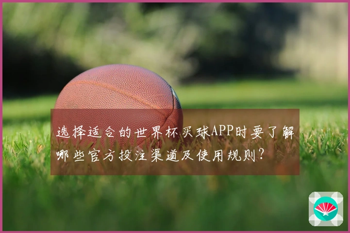 选择适合的世界杯买球APP时要了解哪些官方投注渠道及使用规则？