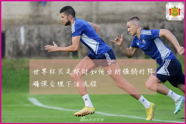世界杯买足球时如何分析强弱对阵确保合理下注流程