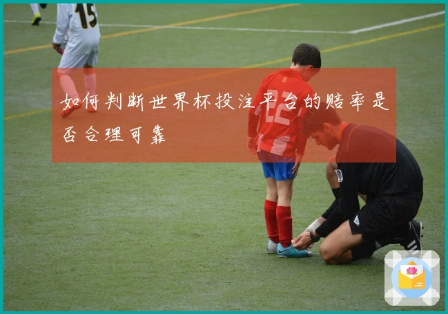 如何判断世界杯投注平台的赔率是否合理可靠